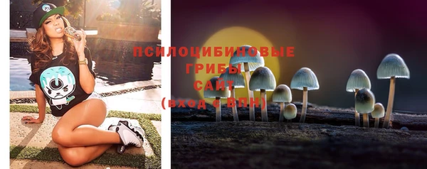 PSILOCYBIN Краснотурьинск